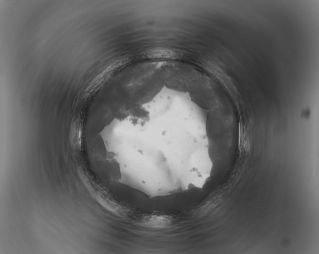 X0000115660157200912031340