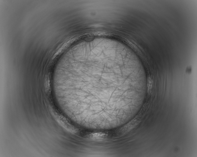 X0000115660158200912031340