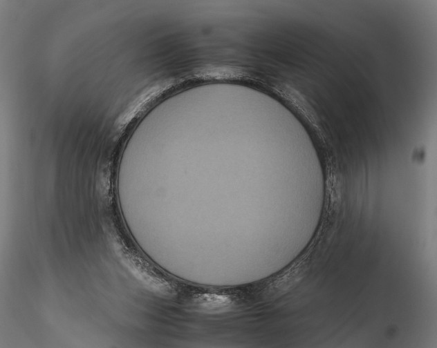 X0000115660159200912031340