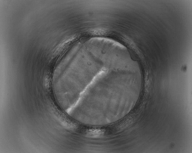 X0000115660161200912031340