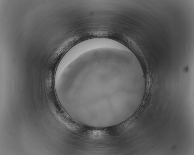 X0000115660163200912031340