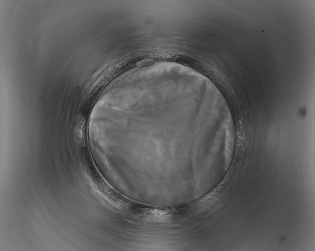 X0000115660166200912031340