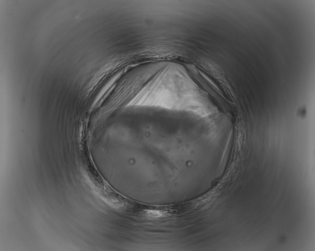 X0000115660167200912031340