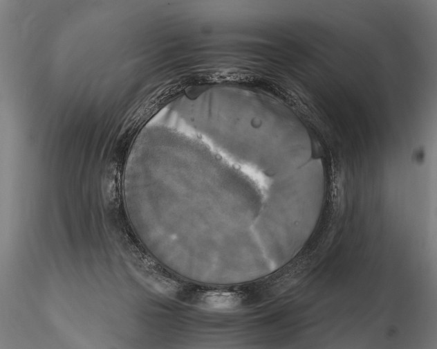 X0000115660169200912031340