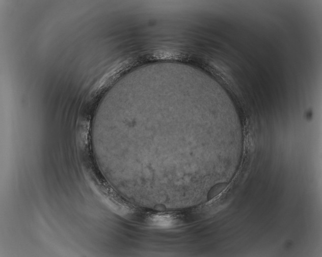 X0000115660171200912031341