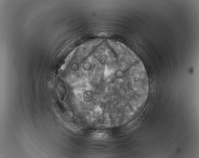 X0000115660175200912031341