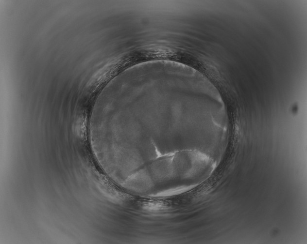 X0000115660177200912031341