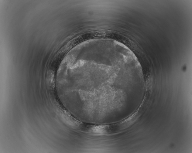 X0000115660178200912031341