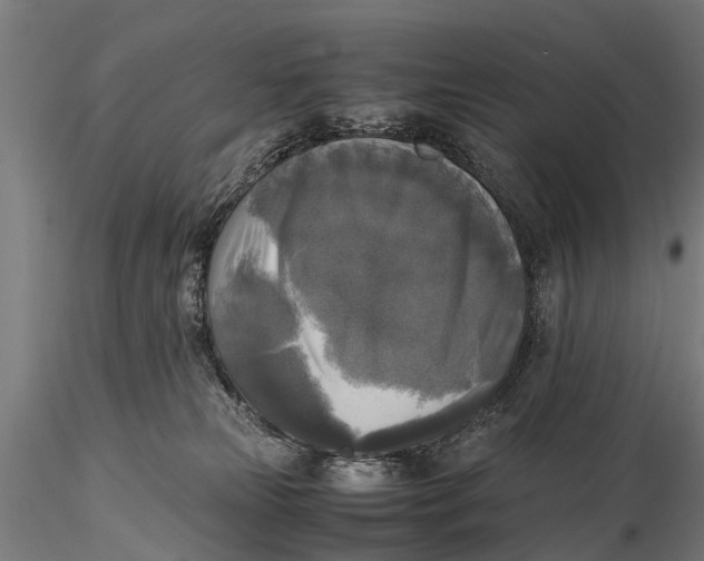 X0000115660181200912031341