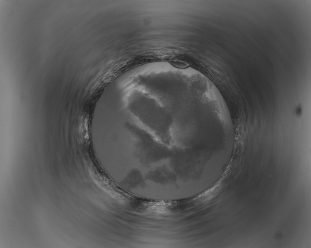 X0000115660182200912031341