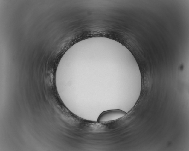 X0000115660183200912031341