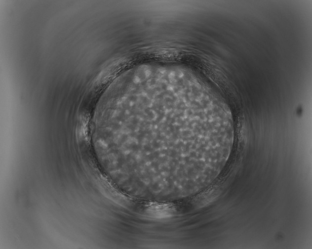 X0000115660185200912031341