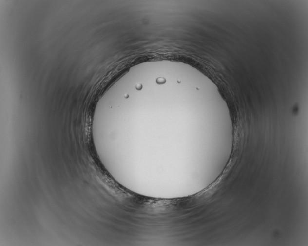 X0000115660186200912031341