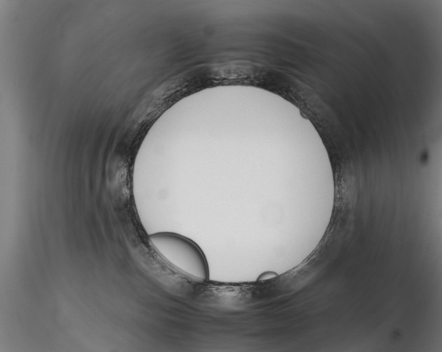 X0000115660187200912031341