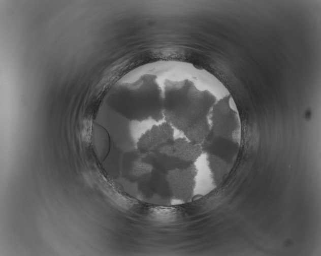 X0000115660189200912031341