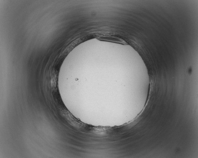 X0000115660190200912031341