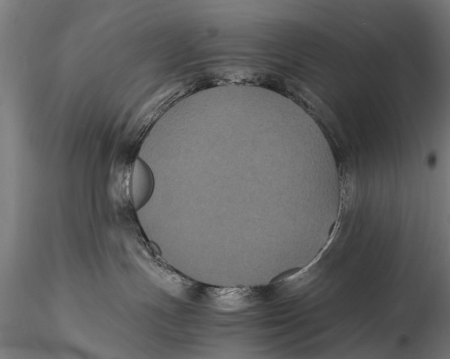 X0000115660191200912031341