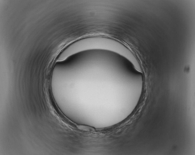 X0000115660193200912031340