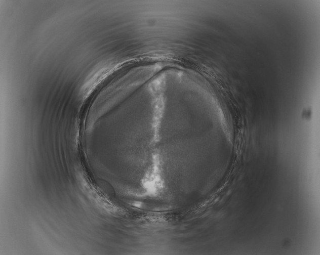 X0000115660194200912031340