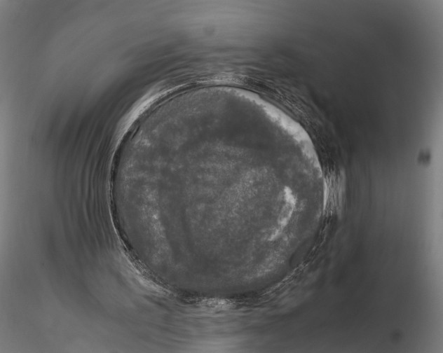 X0000115660195200912031340