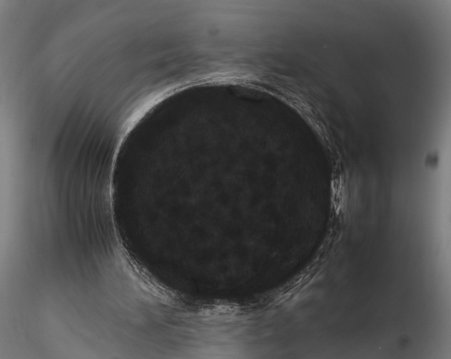 X0000115660196200912031340