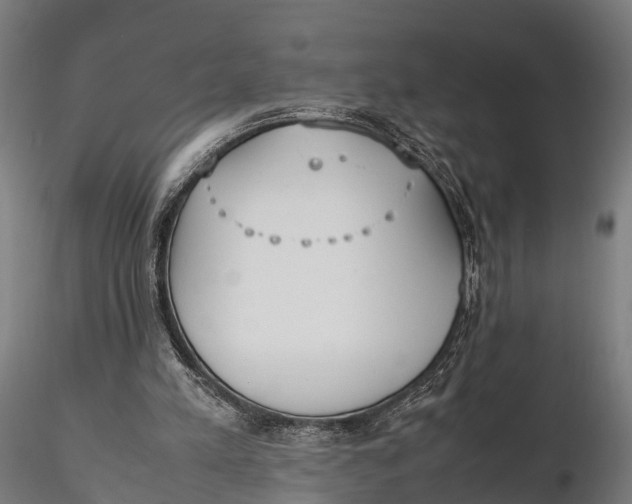 X0000115660197200912031340