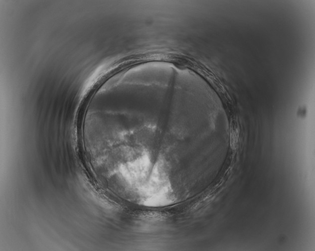 X0000115660198200912031340