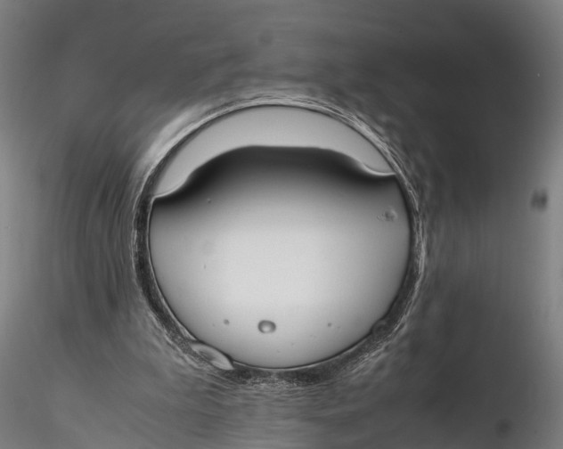 X0000115660199200912031340