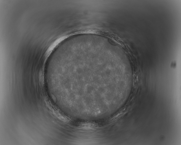 X0000115660200200912031340