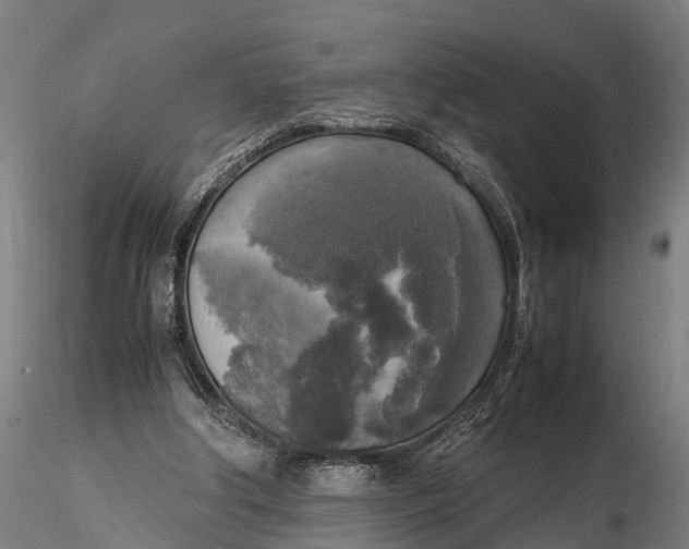 X0000115660202200912031340