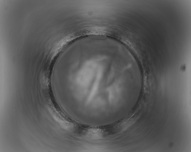 X0000115660203200912031340