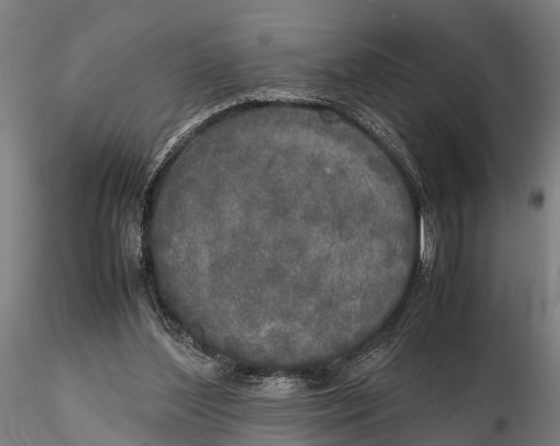 X0000115660204200912031340