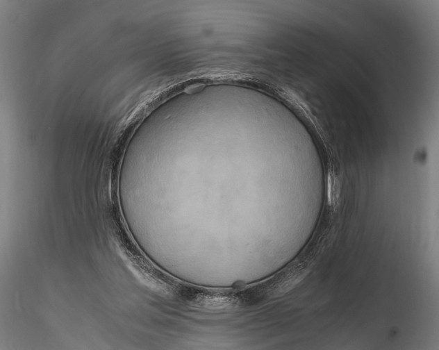 X0000115660205200912031340