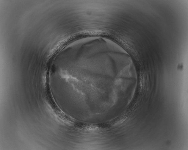 X0000115660206200912031340