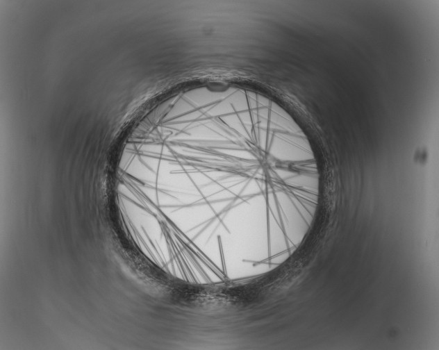 X0000115660207200912031340