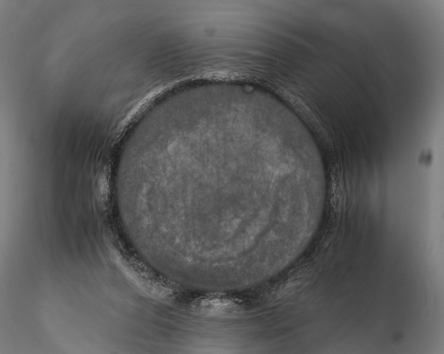 X0000115660208200912031340