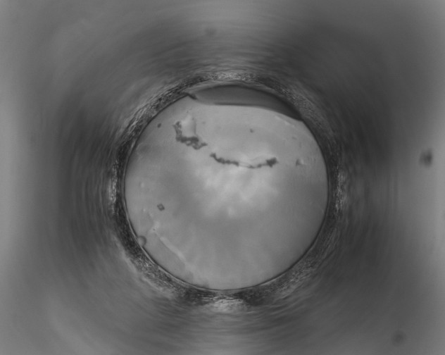 X0000115660210200912031340