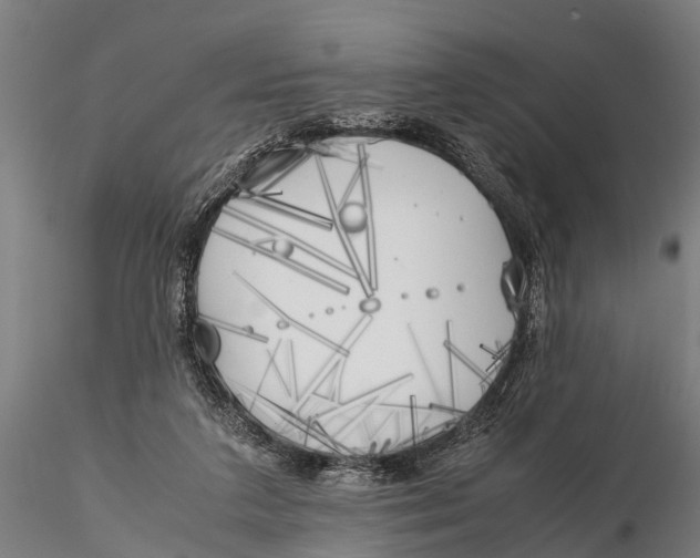 X0000115660211200912031340