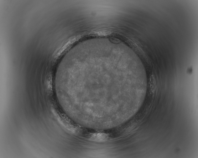 X0000115660212200912031340