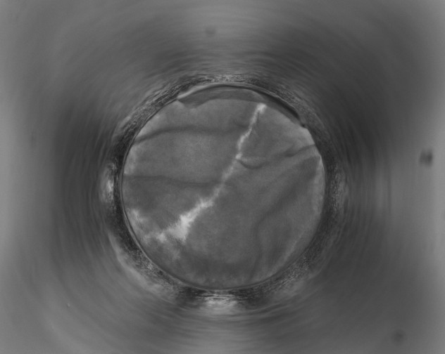 X0000115660214200912031340