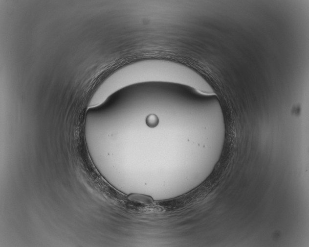 X0000115660215200912031340