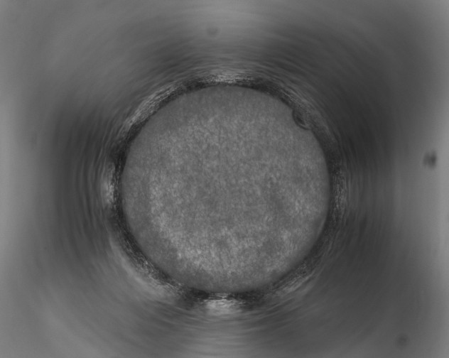 X0000115660216200912031340