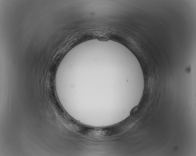 X0000115660217200912031340