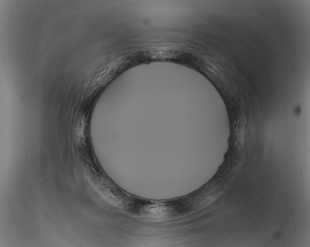 X0000115660219200912031340