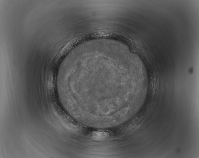 X0000115660220200912031340