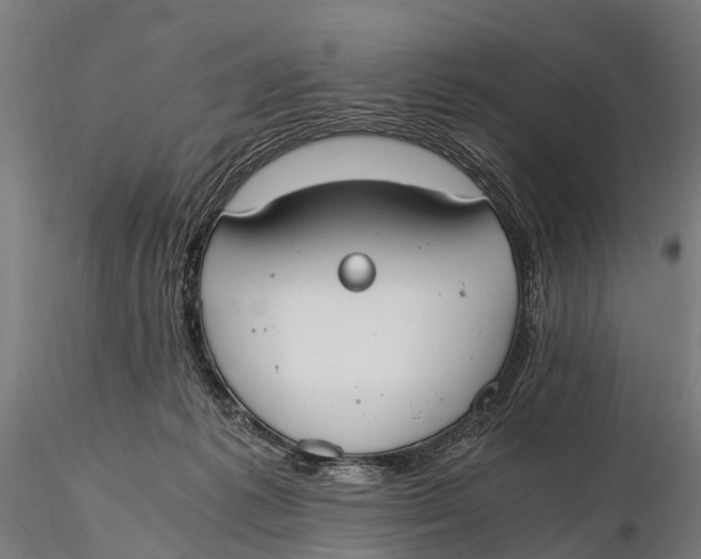 X0000115660221200912031340