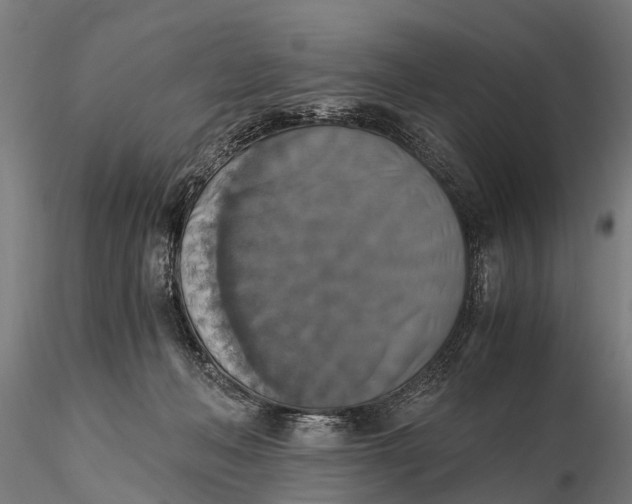 X0000115660222200912031340