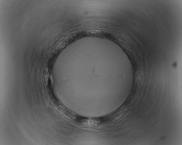 X0000115660223200912031340