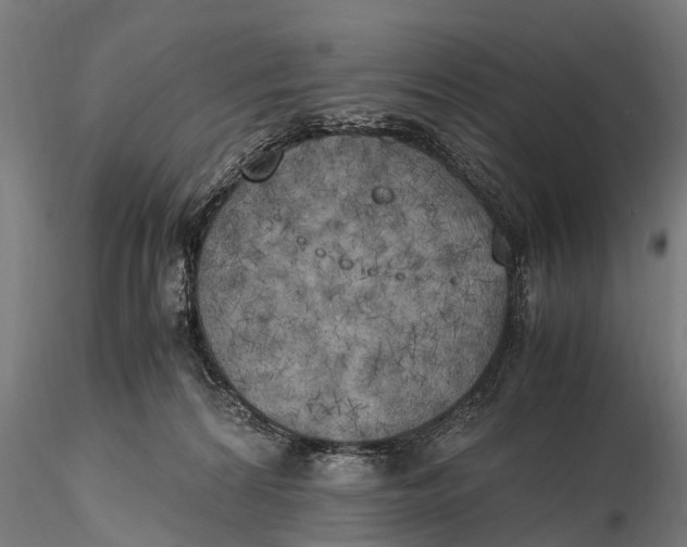 X0000115660224200912031340