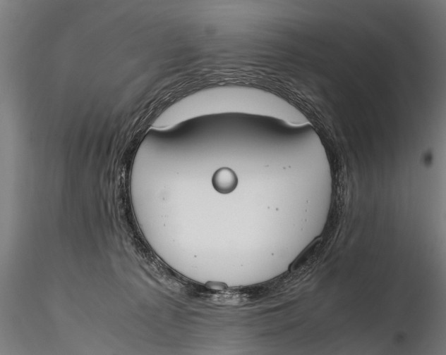 X0000115660225200912031340